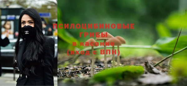 первитин Мегион