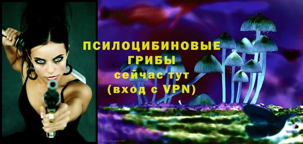 mix Медвежьегорск