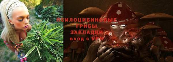 мдпв Медногорск