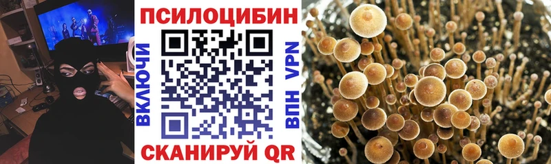 Галлюциногенные грибы Magic Shrooms  Шенкурск 